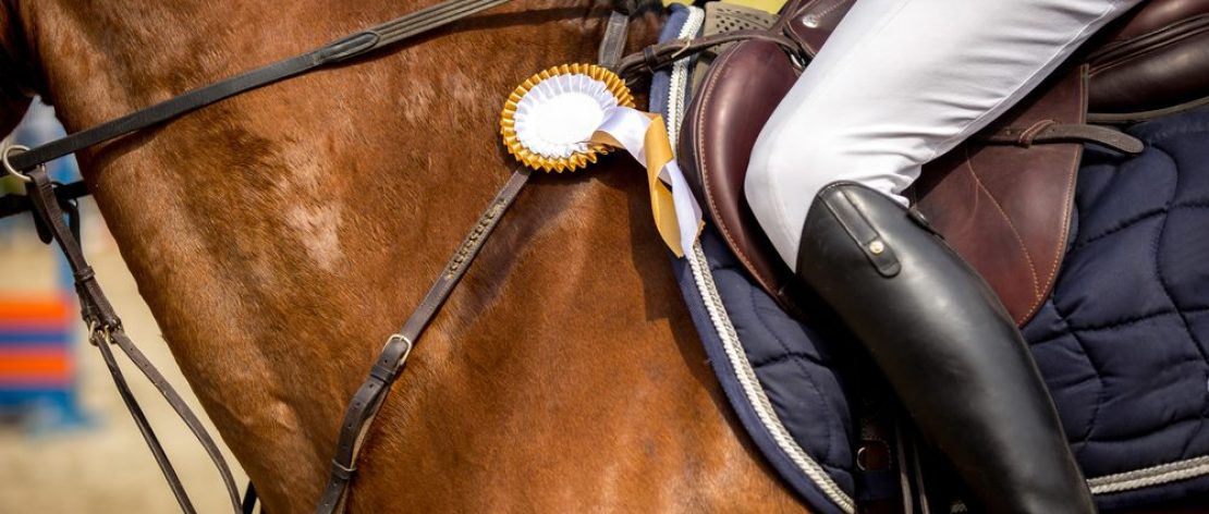 Photo of horse with rider and a rosette