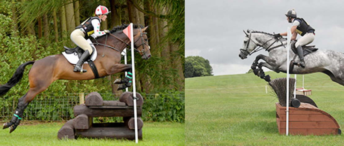 Show jumping horses photo