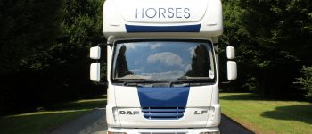 Do I Need an HGV Horsebox?