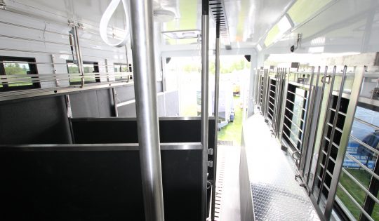 26 tonne horsebox horse area