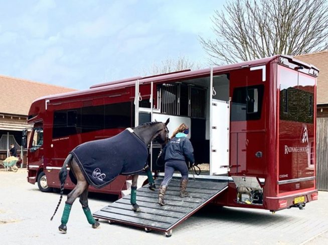 12 Tonne Premier Horsebox