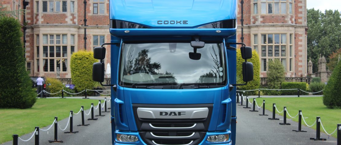 12 tonne horsebox external photo