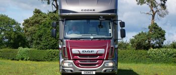 The Benefits of an HGV Horsebox