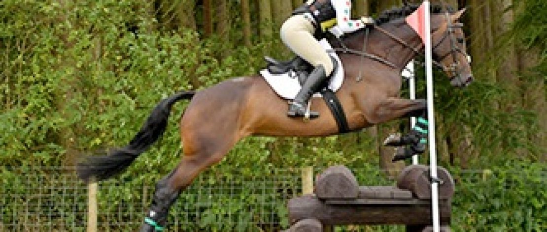 stafford horse trials jumping