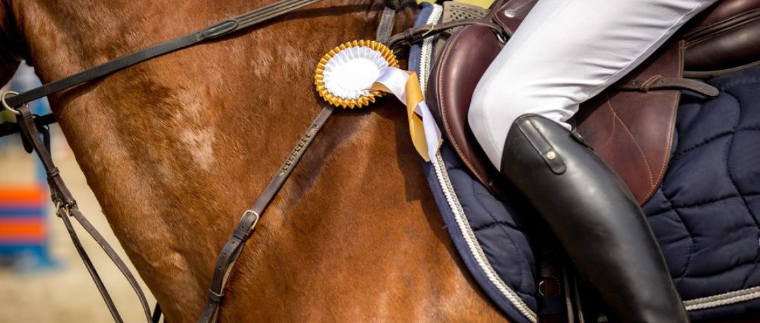 rider on horse at kelsall hill equestrian centre