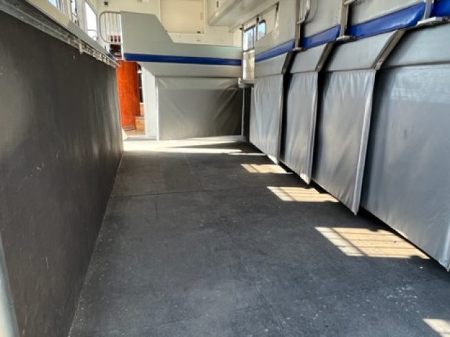26T AKX (STEPHEX) MAN TGX 26-360 AUTO – 7 STALL HORSEBOX